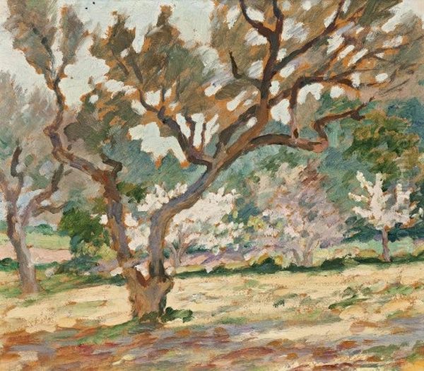 Landscape, South Of France Oil Painting by Rupert Bunny