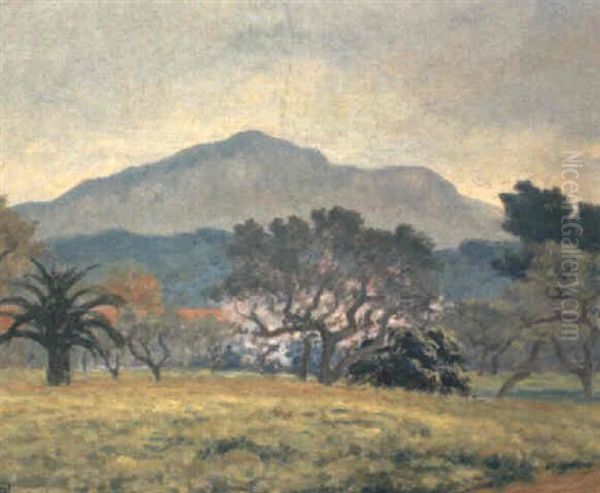 Orchards, South Of France Oil Painting by Rupert Bunny