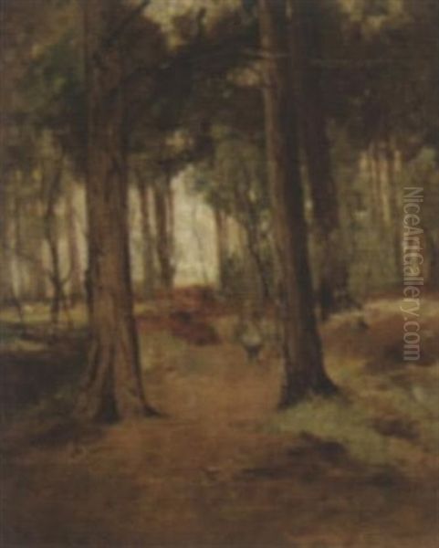 A Young Child In A Wood Oil Painting by Thomas Bunting