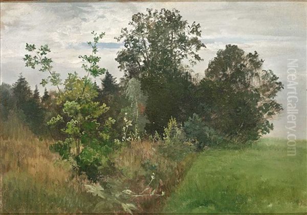 Sommerliche Landschaft Mit Wiese, Waldchen Und Kleinem Bach Oil Painting by Hugo Burgel