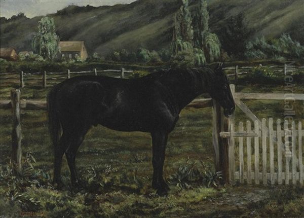 Horse On A Ranch, Marin County Oil Painting by George Henry Burgess