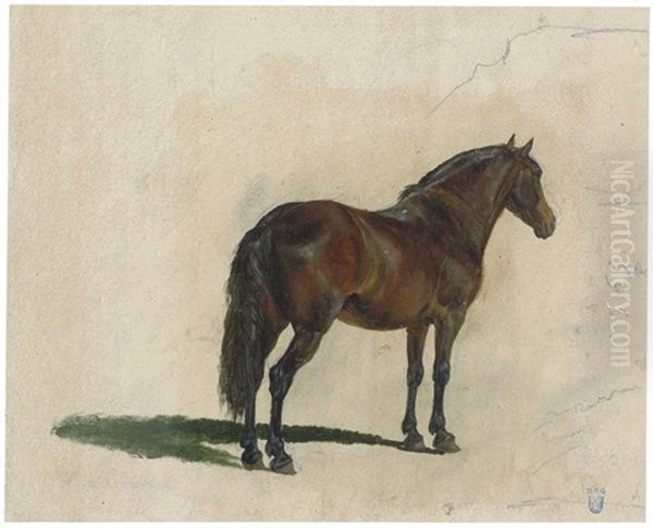 Stehendes Pferd Von Hinten Oil Painting by Heinrich Buerkel