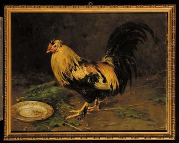 Gallo Oil Painting by Leopoldo Burlando