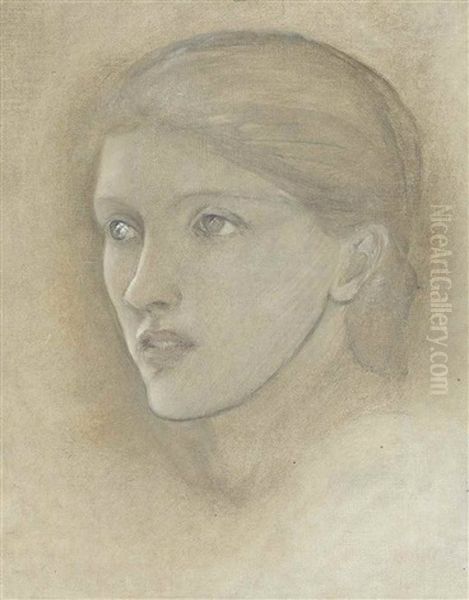 Female Head Study, Looking To The Right, For 'the Golden Stairs', Possibly Mary Stuart Wortley, Later Countess Lovelace Oil Painting by Edward Burne-Jones