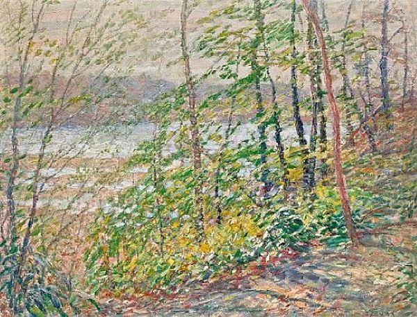 The Spring Woods By The Connecticut River Oil Painting by George Brainard Burr