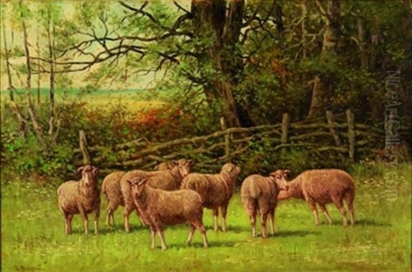 Sheep And Ram In A Pasture Oil Painting by Edward Burrill