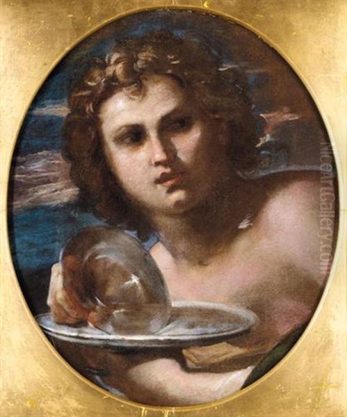 Study Of A Youth, Head And Shoulders (bacchus?) Oil Painting by Giovanni Antonio Burrini