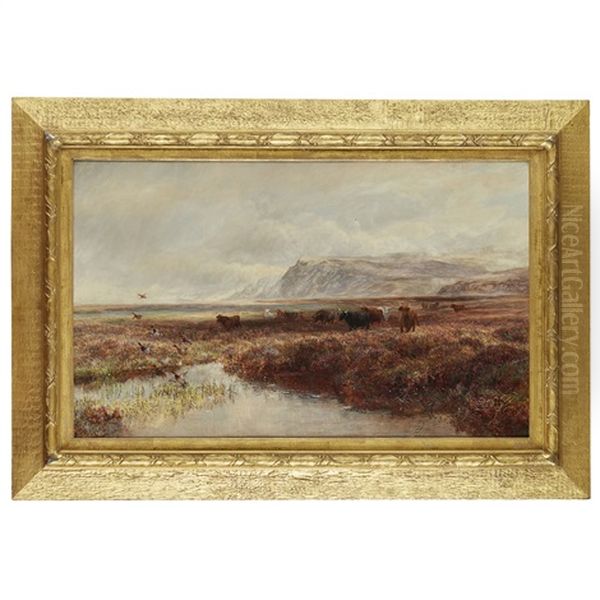 Highland Cows On Moorland Oil Painting by Charles Thomas Burt