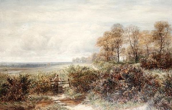 Tom Knocker's Wood, The Hilly Fields, Harborne, Birmingham Oil Painting by Charles Thomas Burt