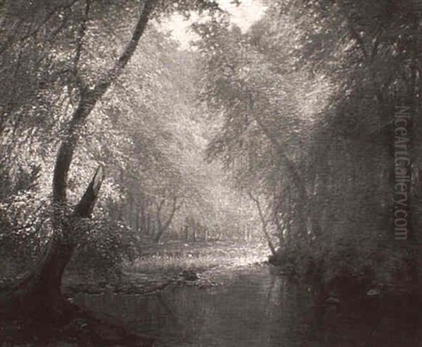 Sunlit Forest Stream Oil Painting by Peter Johan Valdemar Busch