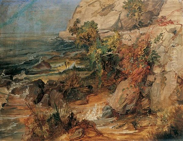 Felskuste Oil Painting by Wilhelm Busch