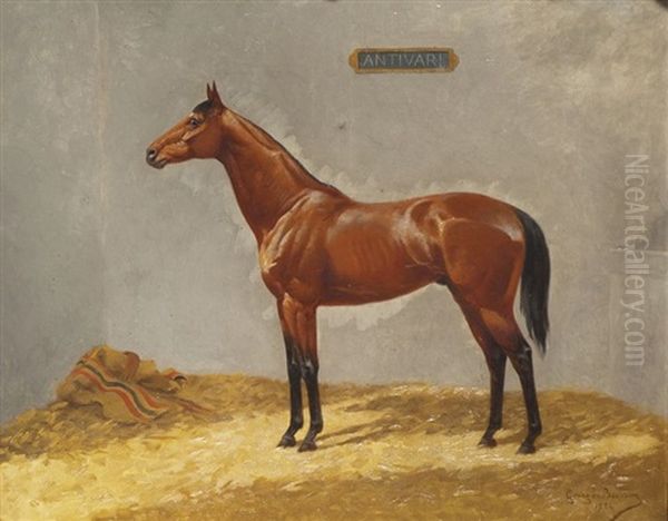 Portrait De L'etalon Antivari Dans Son Box Oil Painting by Georges Louis Charles Busson