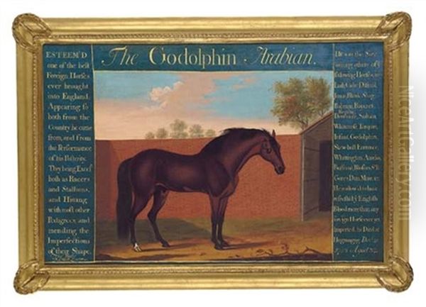 The Godolphin Arabian Oil Painting by Thomas Butler