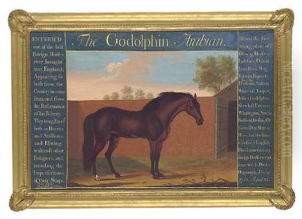 The "godolphin" Arabian Oil Painting by Thomas Butler