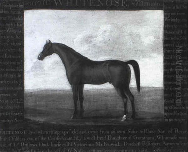 The Earl Of Portmore's Celebrated Bay Stallion Whitenose Oil Painting by Thomas Butler