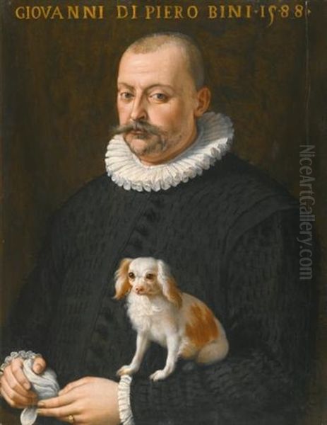 Portrait Of Giovanni Di Piero Bini, Half Length, Wearing A Black Doublet And Holding A Dog Oil Painting by Giovanni Maria Butteri