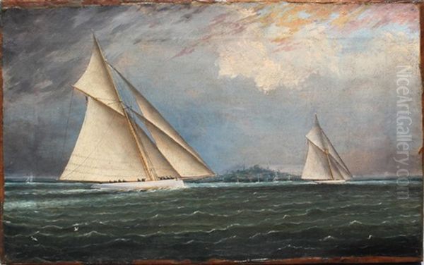 Yacht Racing, Boston Harbor Oil Painting by James Edward Buttersworth