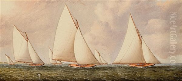 Yachts Racing Off Southamption, Long Island Oil Painting by James Edward Buttersworth