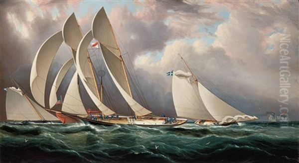 Yacht Racing Off Sandy Hook Oil Painting by James Edward Buttersworth