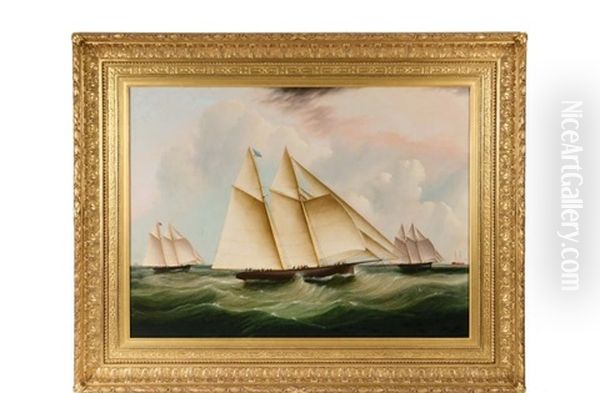 The Start Of The 1866 Great Transatlantic Yacht Race Oil Painting by James Edward Buttersworth