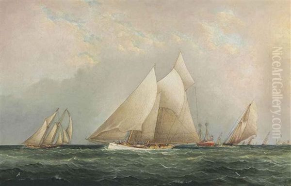 The Hurricane Cup Race: Dauntless V. Columbia Oil Painting by James Edward Buttersworth