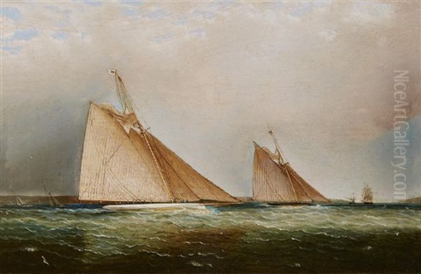 Cutters Leading The Fleet Through The Sound, N.y. Oil Painting by James Edward Buttersworth