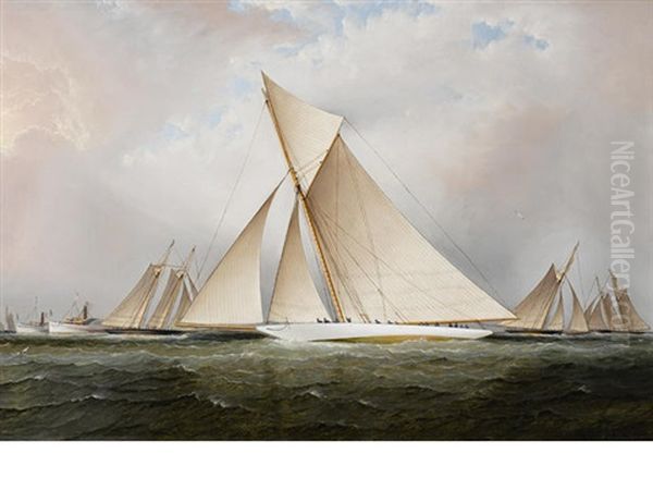 The America's Cup Yacht Vigilant Oil Painting by James Edward Buttersworth