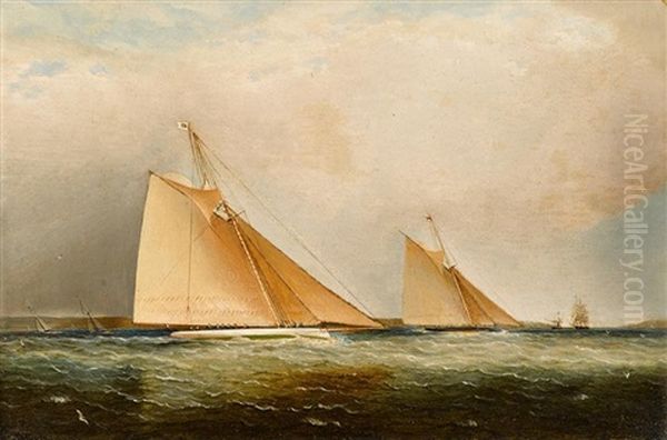 Cutters Leading The Fleet Through The Sound, Ny Oil Painting by James Edward Buttersworth