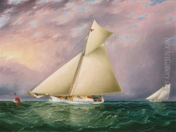 Yacht Race In New York Harbor Oil Painting by James Edward Buttersworth