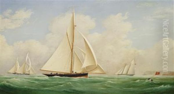 The Royal Yacht Squadron Cup Race Oil Painting by James Edward Buttersworth