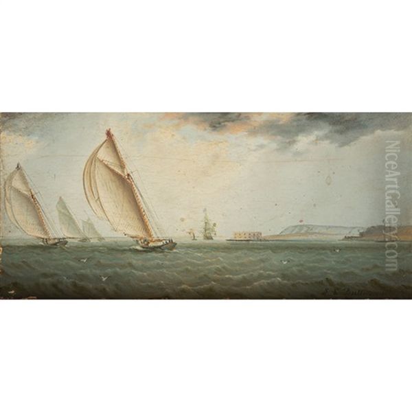 Yachts In New York Harbor Oil Painting by James Edward Buttersworth