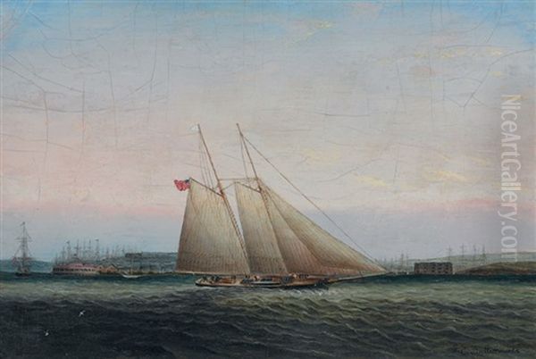 Yachting In New York Harbor Oil Painting by James Edward Buttersworth