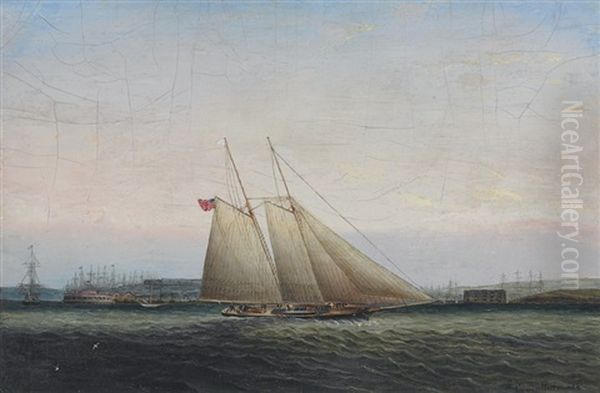 Yachting In New York Harbor Oil Painting by James Edward Buttersworth