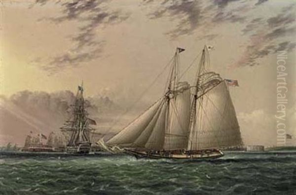 Mr. William Astor's Schooner "ambassadress" In New York Harbor With Castle William And Castle Garden Off Governor's Island Oil Painting by James Edward Buttersworth