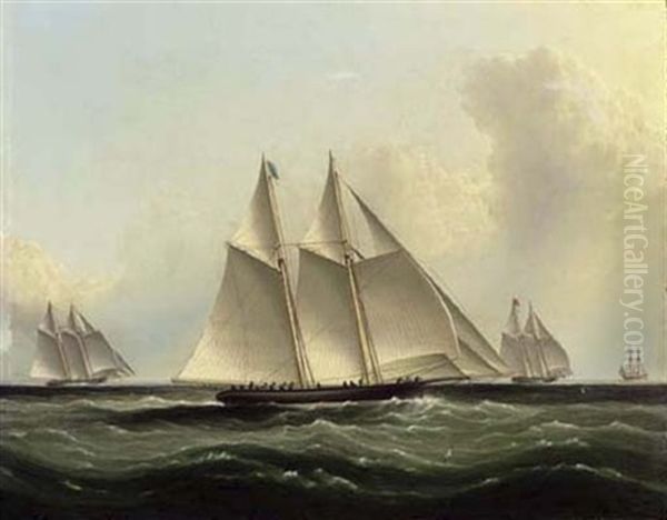 The Great Ocean Race, "henrietta", "fleetwing" And "vesta" Oil Painting by James Edward Buttersworth