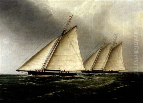 A Sloop And Schooner Racing Oil Painting by James Edward Buttersworth