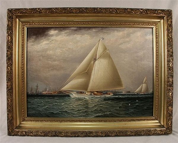 Yacht Race In New York Harbor Oil Painting by James Edward Buttersworth