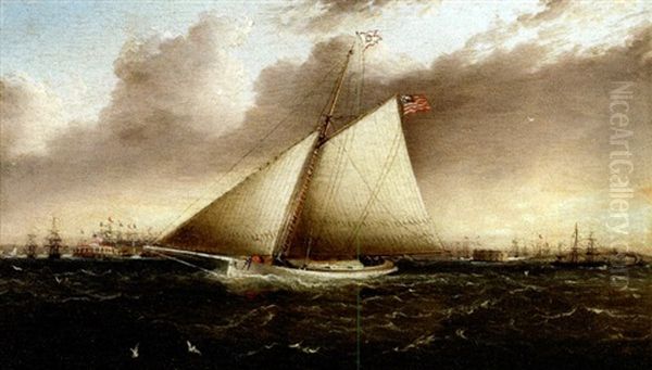 The Yacht "orient" In New York Harbor Oil Painting by James Edward Buttersworth