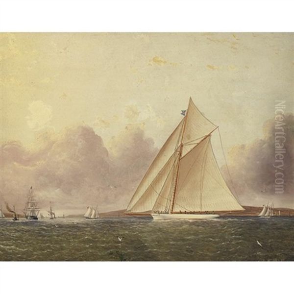 A View Of New York Sound, The "volunteer" In The Foreground Oil Painting by James Edward Buttersworth