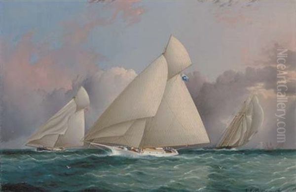 Yacht "sappho" Beating To Windward Oil Painting by James Edward Buttersworth