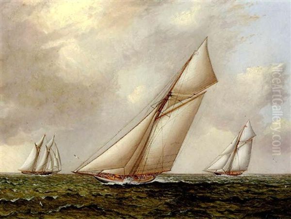 Vigilant Vs. Valkyrie Ii In The 1893 America's Cup Oil Painting by James Edward Buttersworth