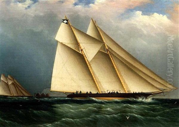 Dauntless And Sappho Off The Needles, Isle Of Wight Oil Painting by James Edward Buttersworth