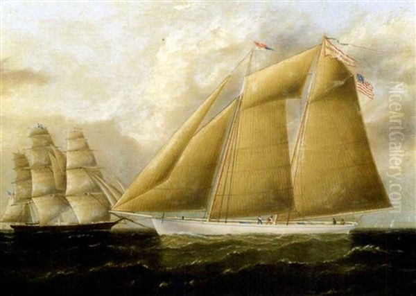 Portrait Of The Schooner  