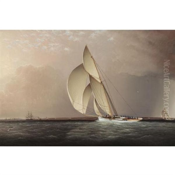 Yachts Racing Off Sandy Hook Oil Painting by James Edward Buttersworth