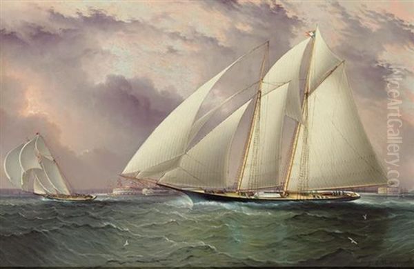 Schooner Racing Off New York Harbor Oil Painting by James Edward Buttersworth