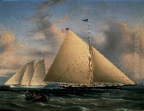 The Sloop 