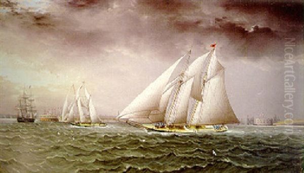 Schooner Race In New York Harbor Oil Painting by James Edward Buttersworth