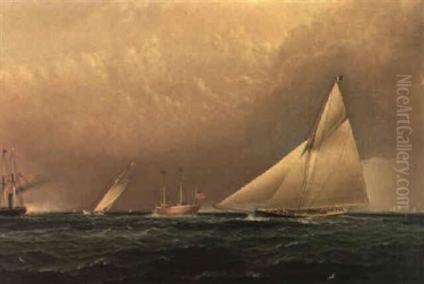 America's Cup Trial Race, 1885 Oil Painting by James Edward Buttersworth