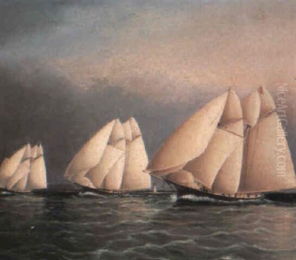 The Start Of The Great Transatlantic Yacht Race Oil Painting by James Edward Buttersworth