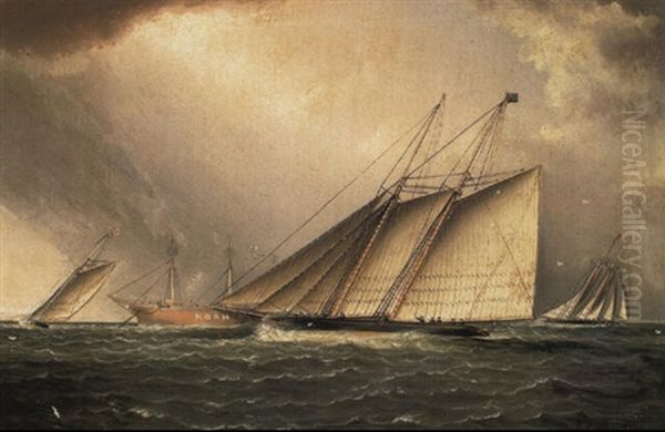 Yachts Rounding The Nore Light Ship In The English Channel Oil Painting by James Edward Buttersworth